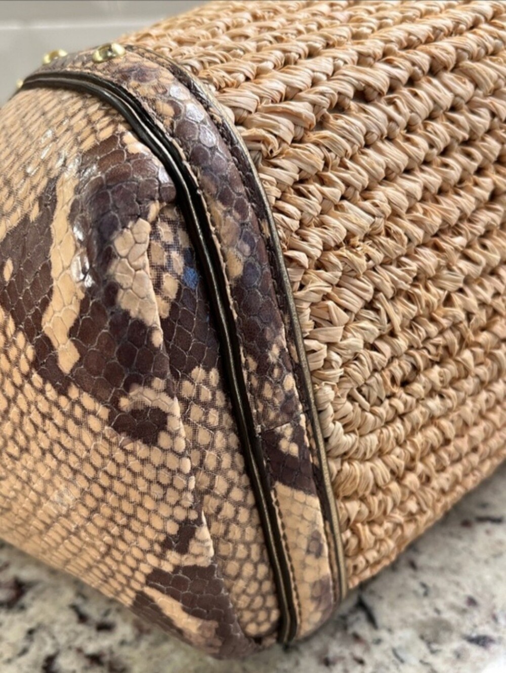 Coach Natalie Python & Raffa Tote - Picture 10 of 16